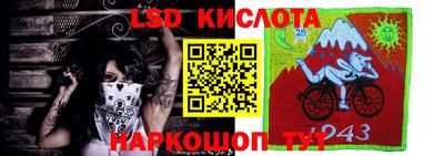 PSILOCYBIN Бугуруслан