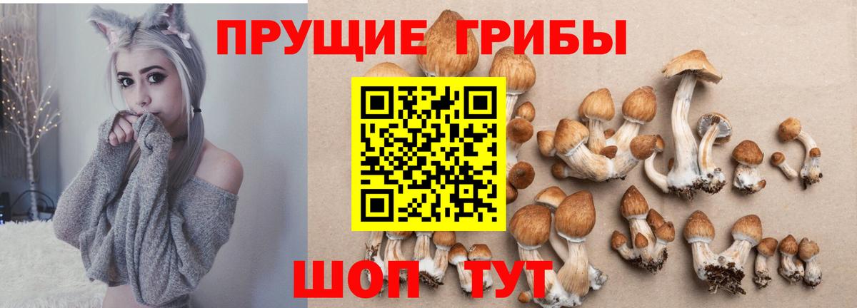 Галлюциногенные грибы Psilocybe  Вход с VPN  Рассказово 
